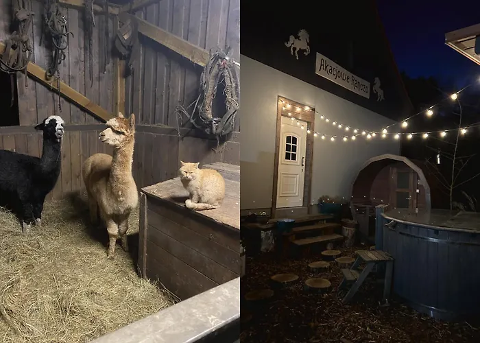 Akacjowe Ranczo 度假居 *